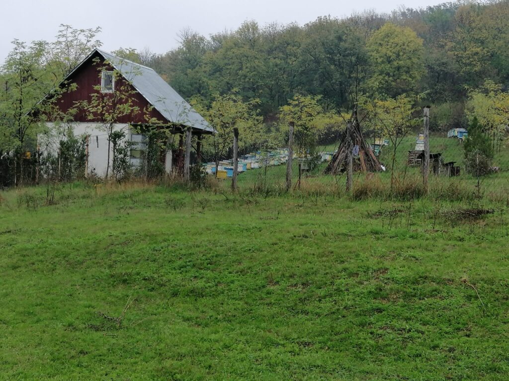 Miere de albine, fara adaosuri